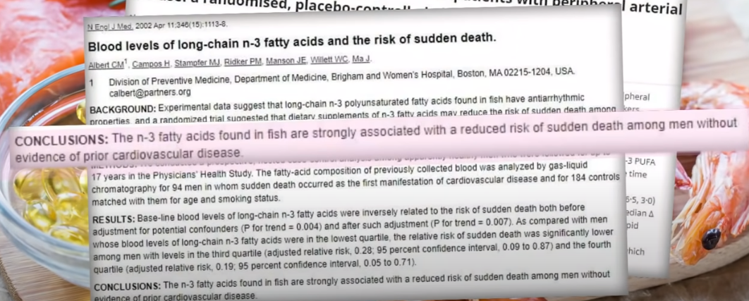 오메가 3의 혈관 건강 개선 논문들