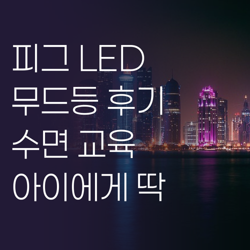 피그 LED 무드등 솔직 후기 아이 ..