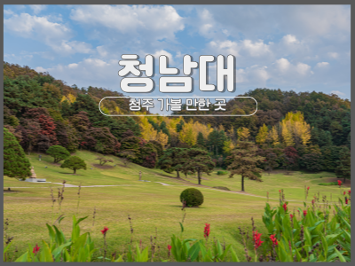 청남대