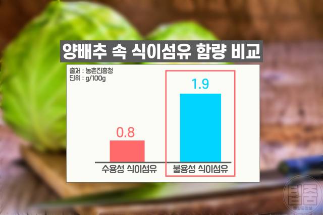 위에좋은음식 양배추 먹으면 안되는 사람 양배추먹는법 양배추 생으로 먹으면