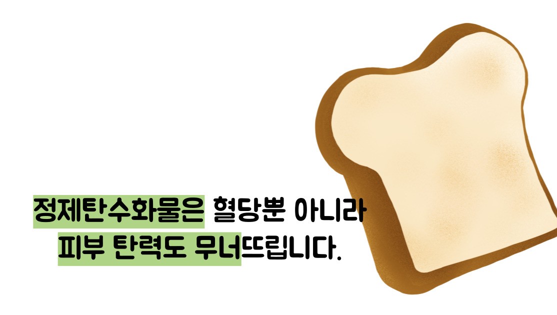 저속노화 식단