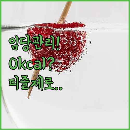 임당 관리 추천 음료 티즐제로 0kc..