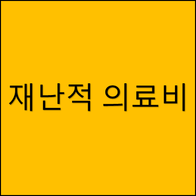 재난적 의료비 썸네일