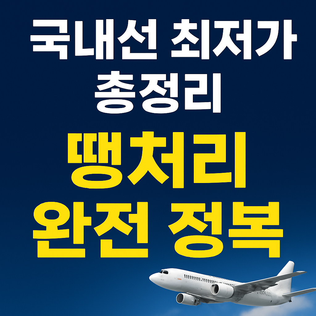 국내선 땡처리 항공권 예약