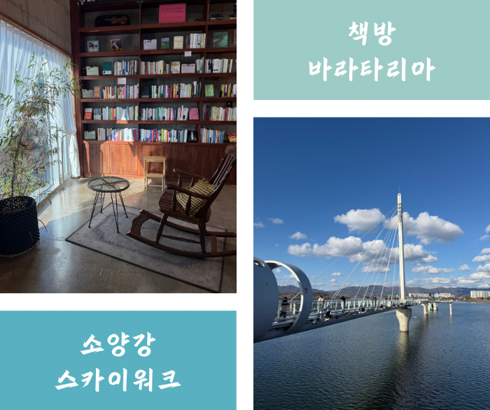 스카이워크, 책방바라타리아