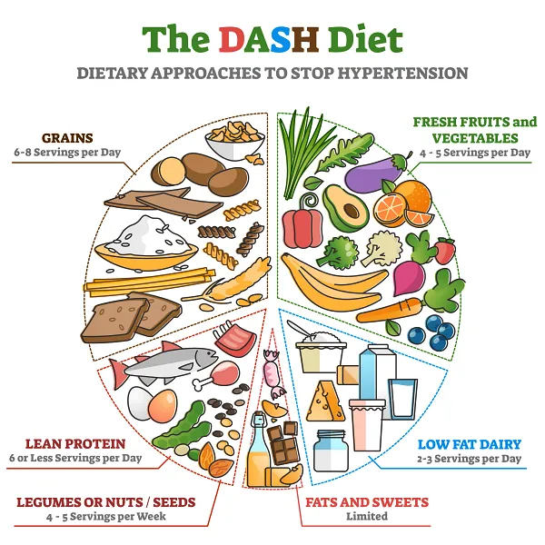 DASH 식이요법을 한 눈에 이해할 수 있게 보여주는 이미지