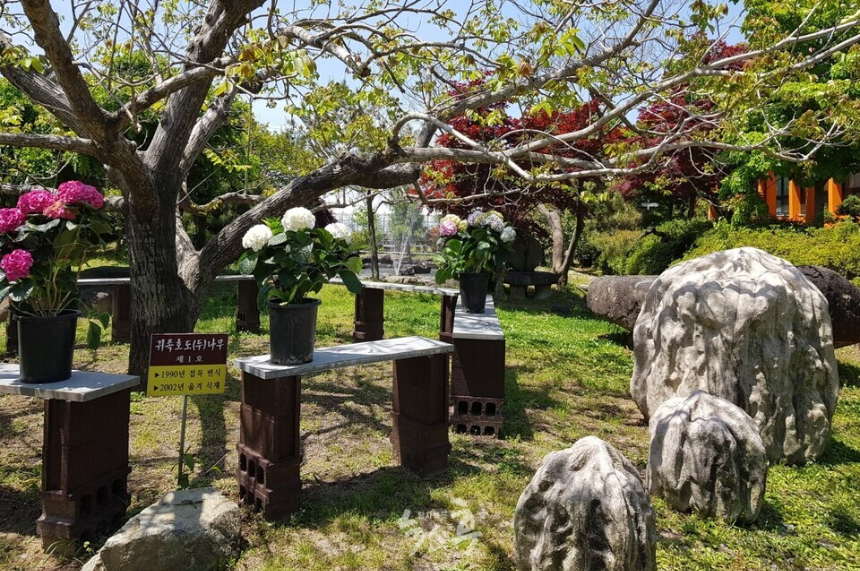 특색 있고 아름다운 민간 정원 30선 추천 여행 - 17. 고흥 하담정 (남포미술관)