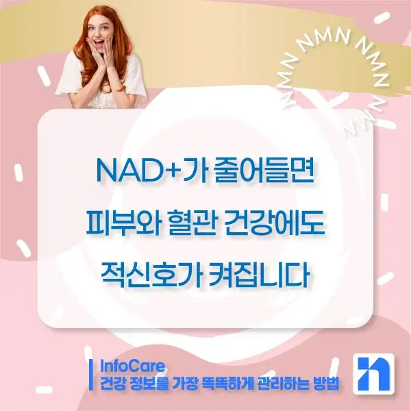 NMN 효능 효과 저속노화 노화방지 항노화