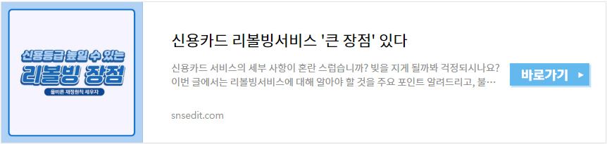통신&middot;서울보증보험 연체자 대출