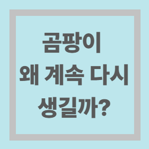 곰팡이 제거 재발 방지