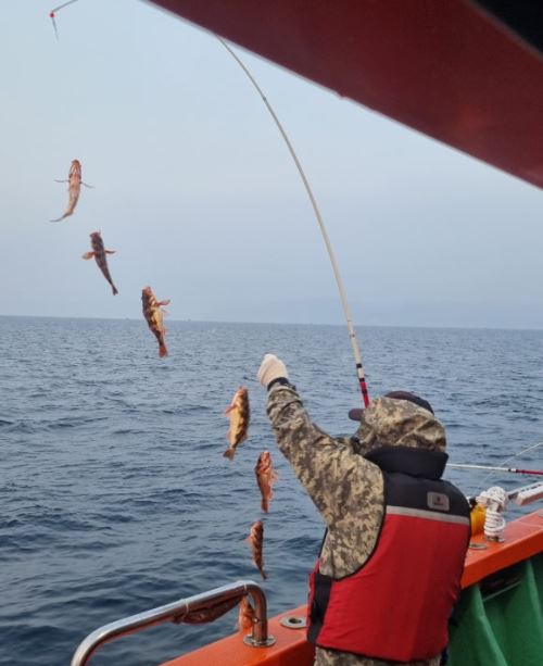 겨울 남해 볼락 배낚시
