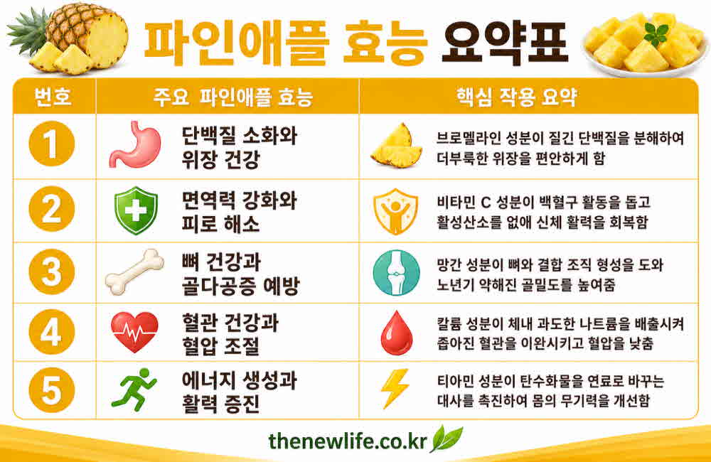 파인애플 효능 요약표