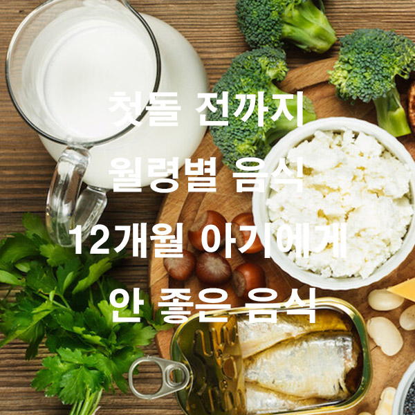 첫돌 전까지 월령별 음식 12개월 아기에게 안 좋은 음식