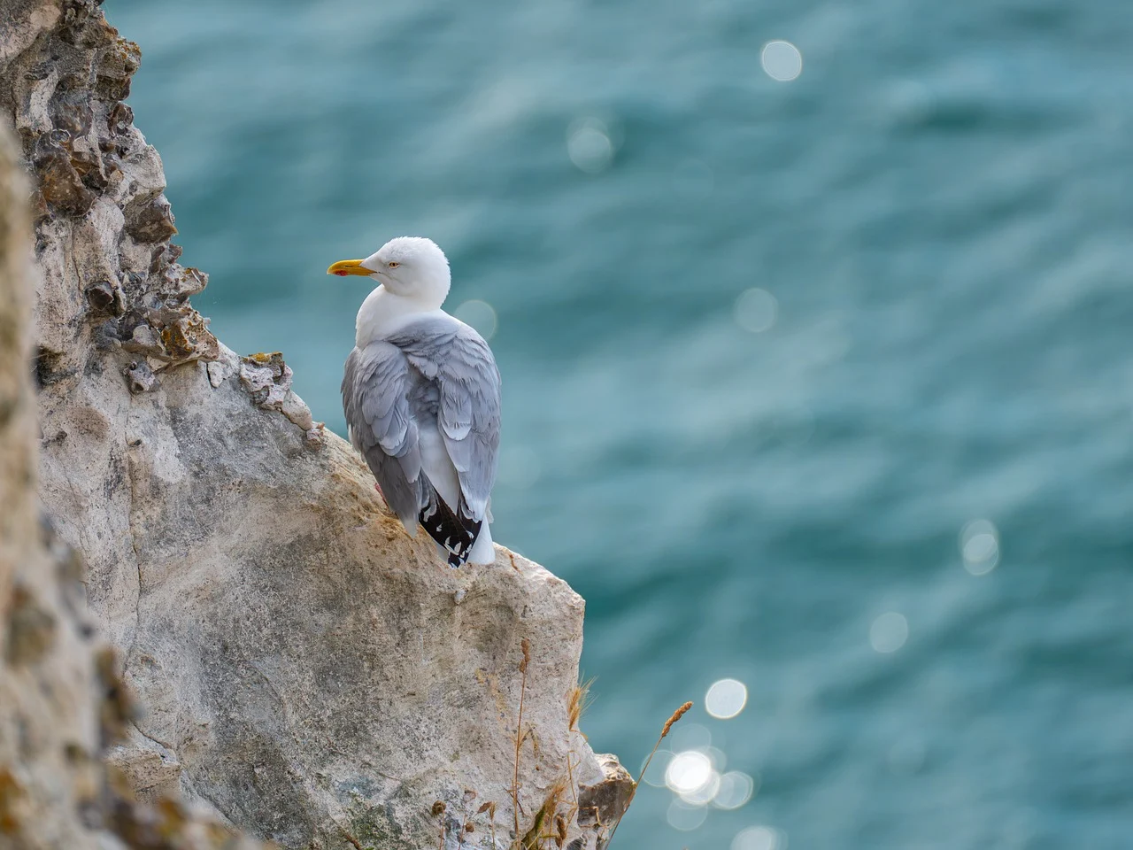겨울여행지 추천 | 눈 덮인 낭만 여행지 BEST 5