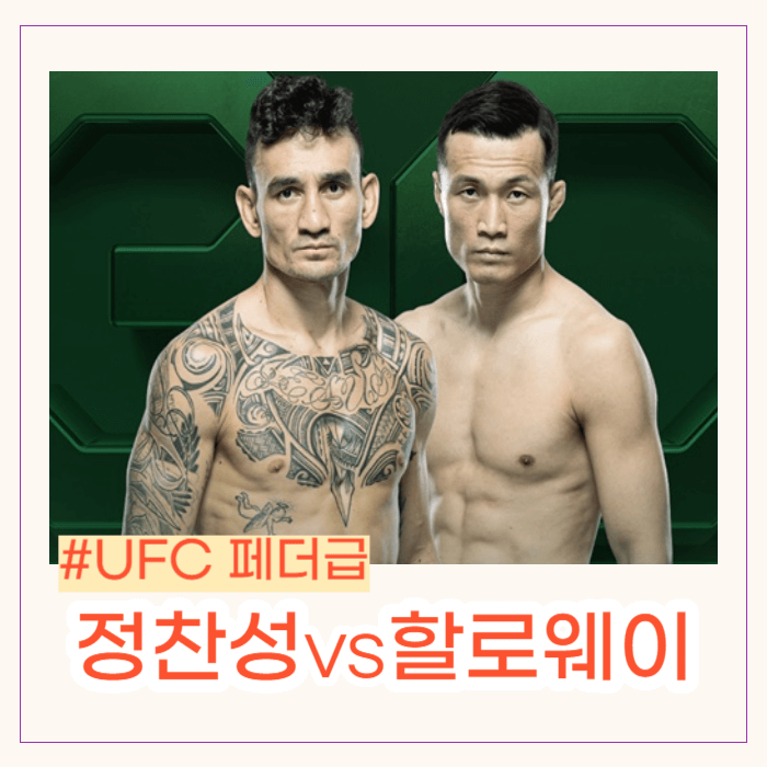 정찬성 할로웨이 경기