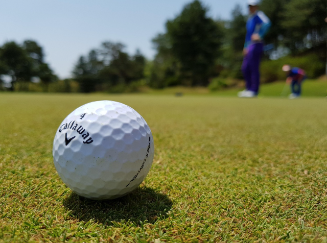 세계의 독특한 직업 골프공 잠수부(Golf Ball Diver), 물속에서 숨겨진 가치를 찾는 사람들