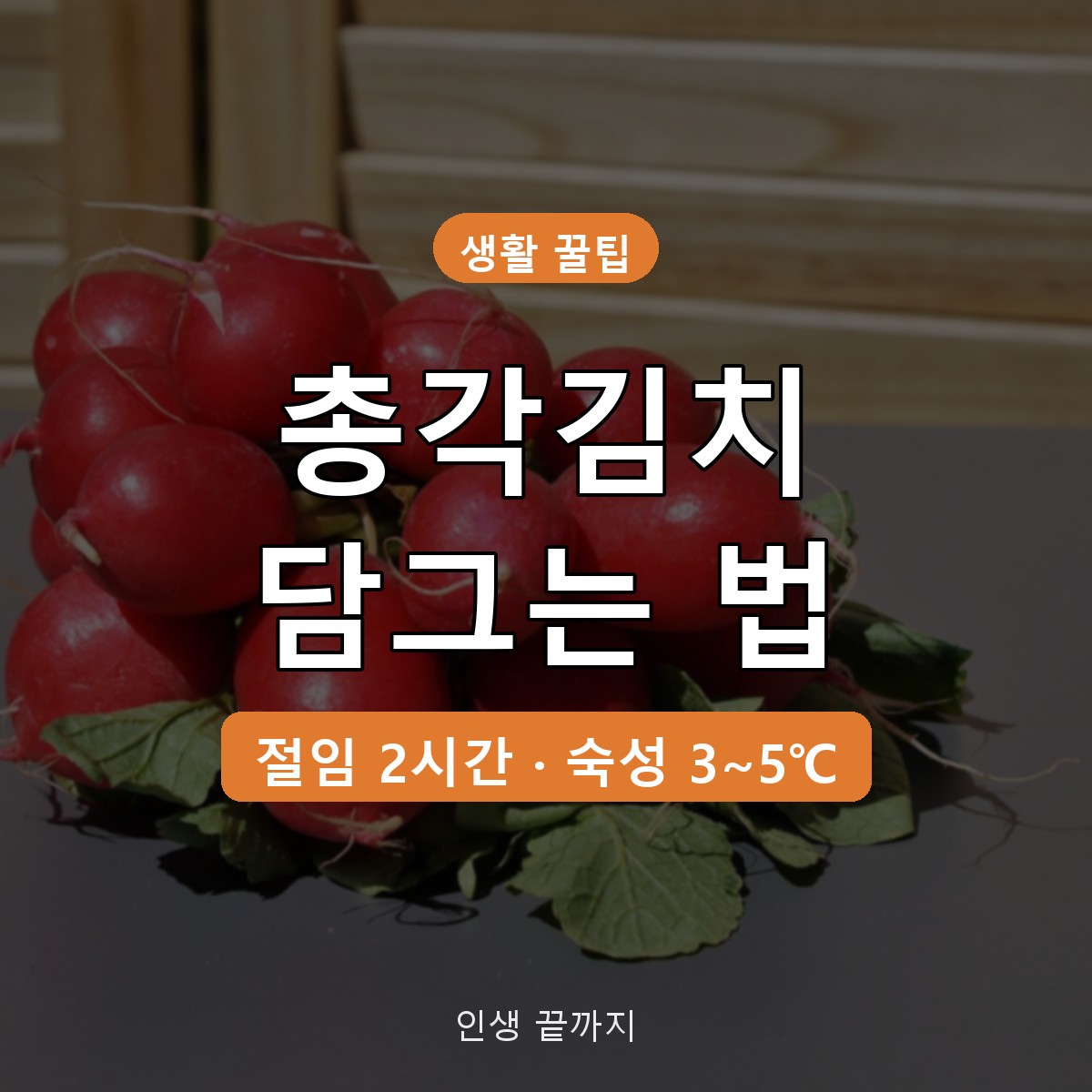 총각김치 담그는 법, 총각무 절이는 시간부터 숙성&middot;보관 온도까지
