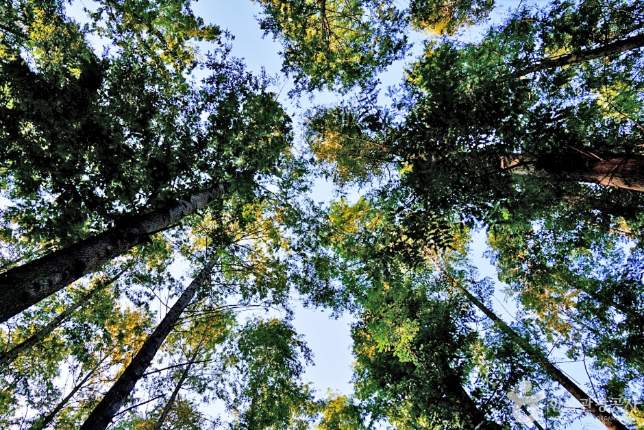 영덕 가볼만한곳 베스트10