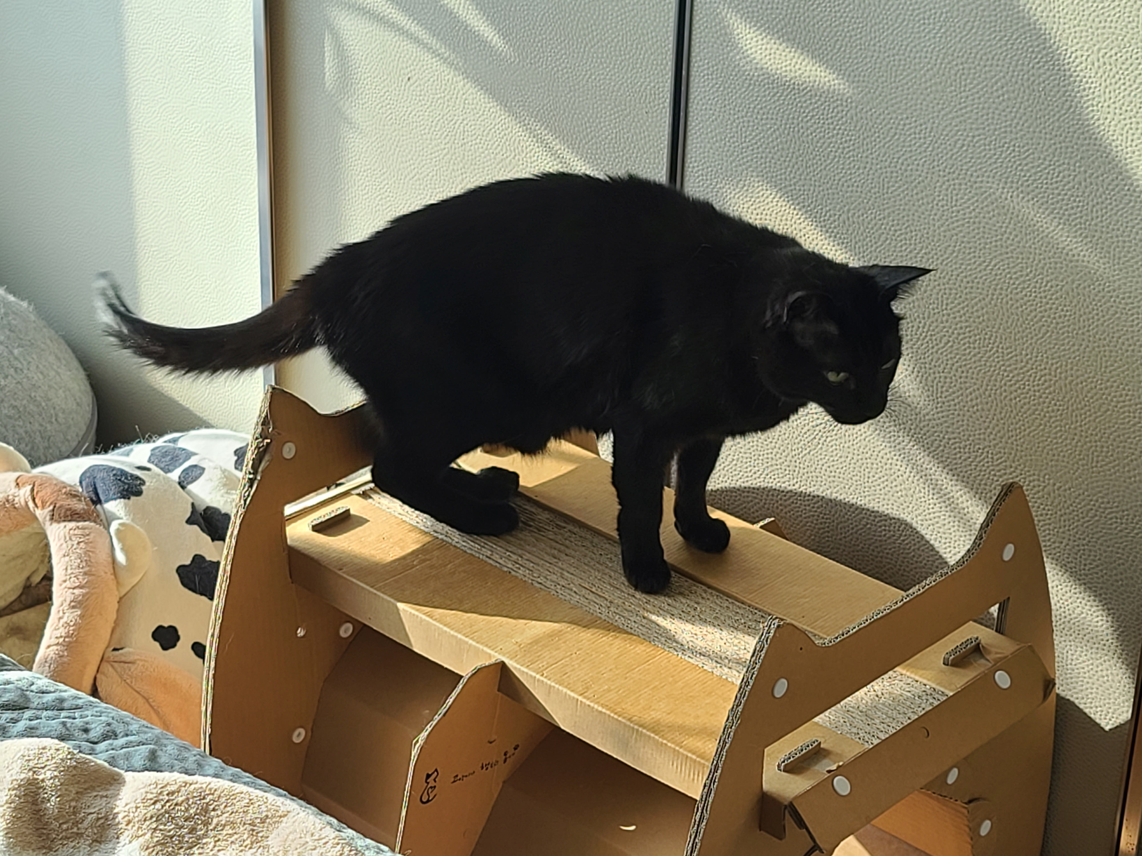 놀라지마세요~ 진짜 투닥거리는 거예요~ㅋㅋ