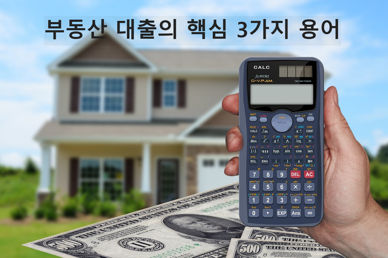 부동산 대출