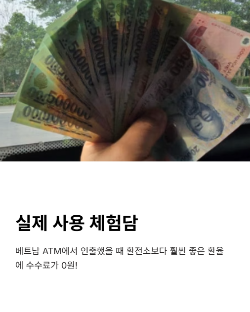 실제 사용 체험담