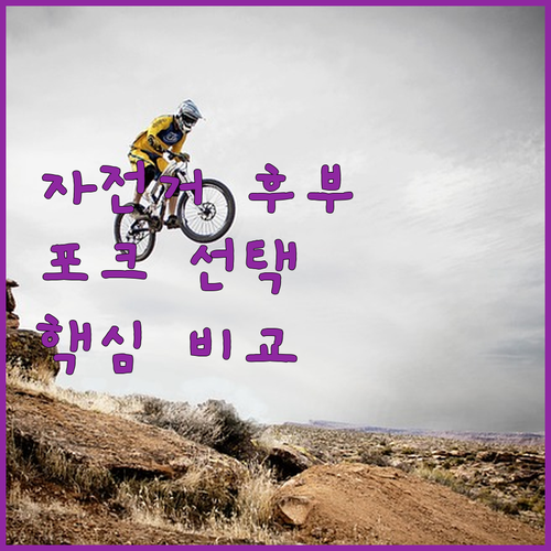 자전거 후부 포크, 어떤 기준으로 골