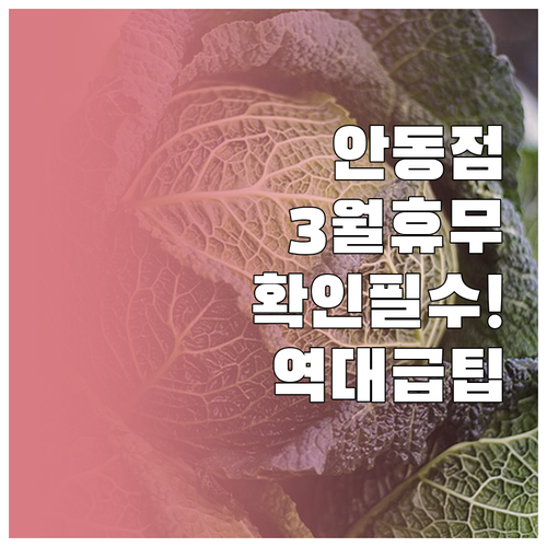 2026년 3월 홈플러스 안동점 휴무..