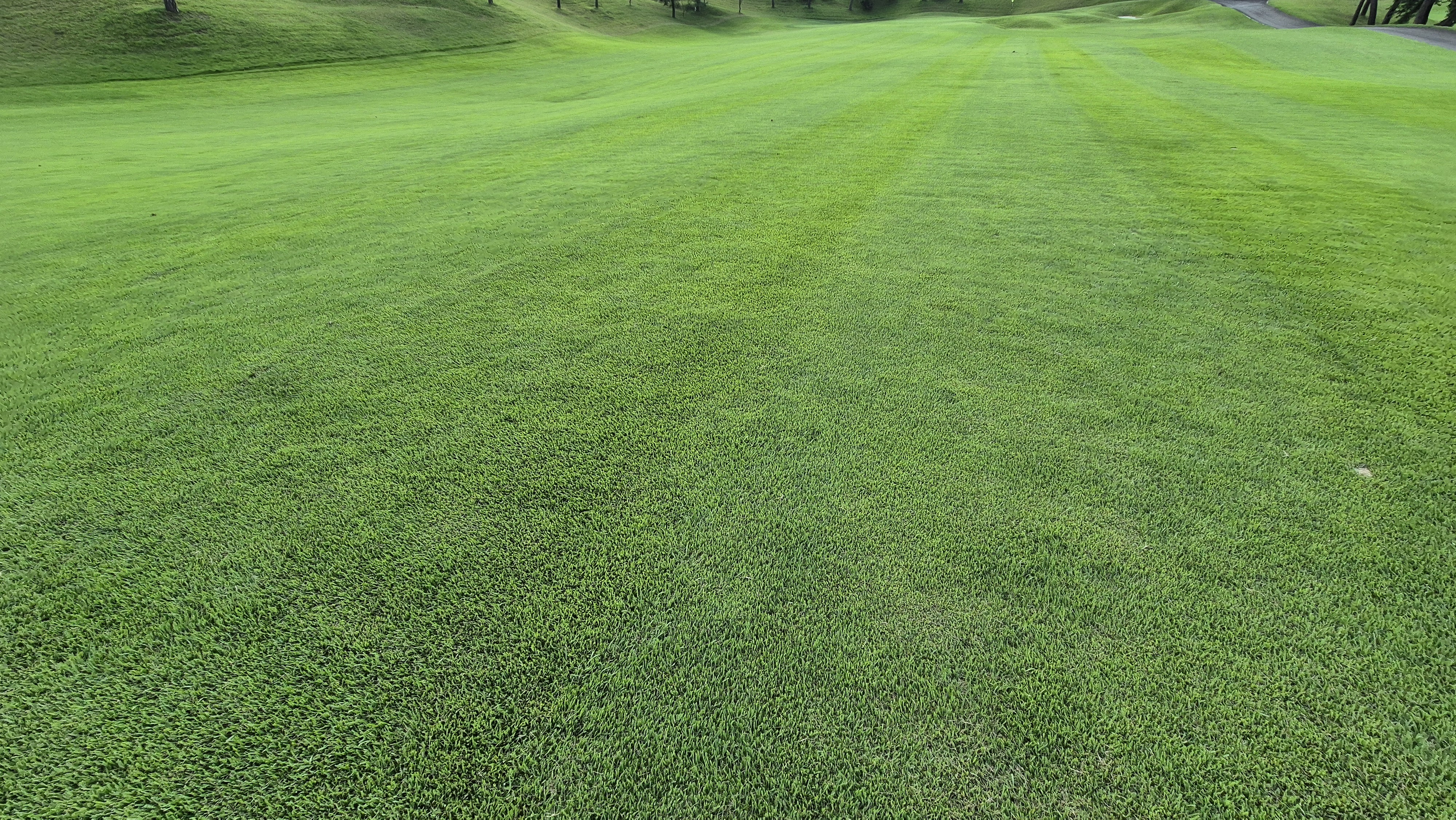 동원썬밸리cc 라운드 후기