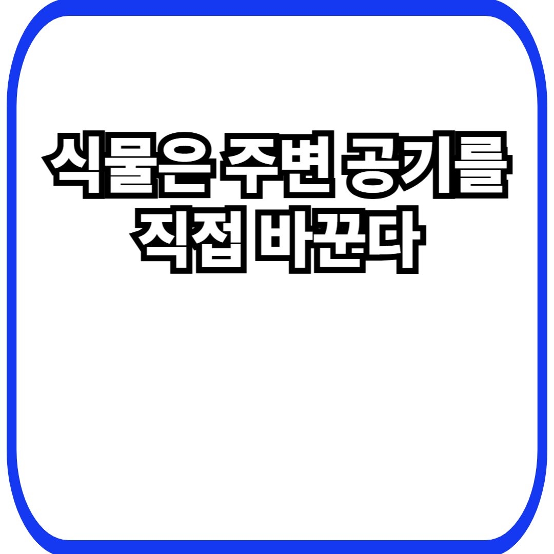 식물 미세기후 조절에서 시작되는 환경 설계, 스스로 살아가기 좋은 공간을 만드는 전략
