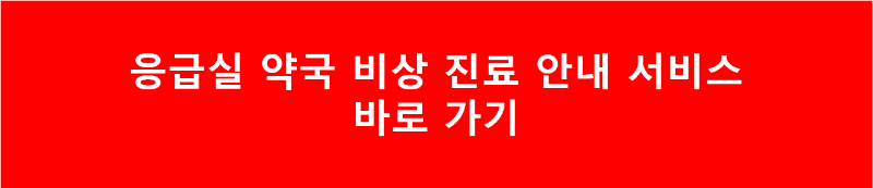 응급실 약국 비상 진료 안내 서비스
바로 가기