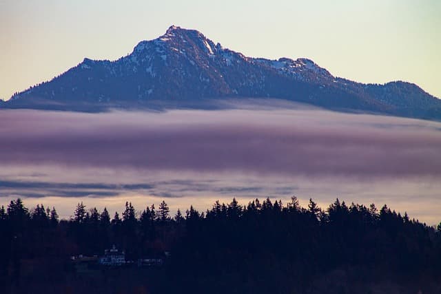 피해자의 사실적시 명예훼손 진술과 진술거부권 충돌