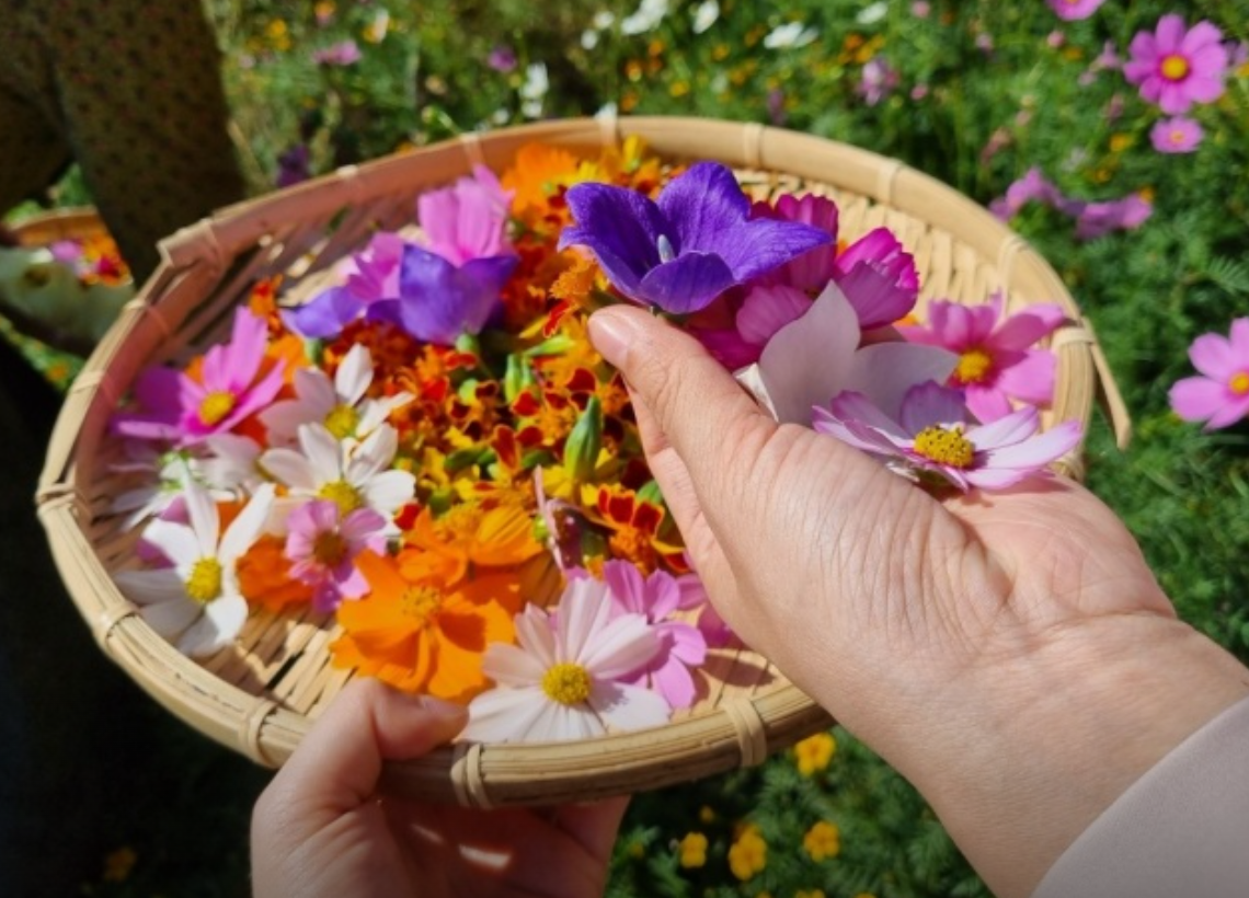 제인꽃차교육농장