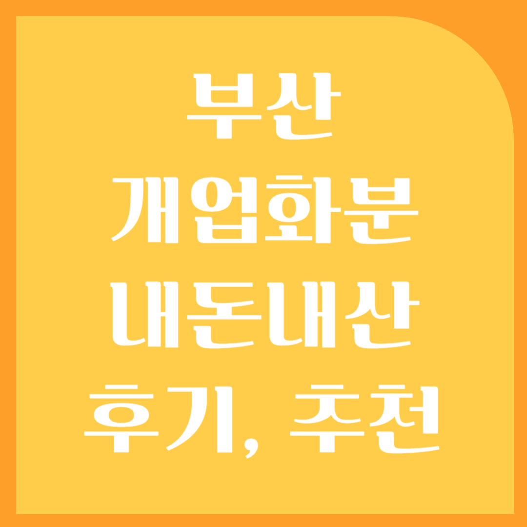 부산 북구 개업 화분, 개업 선물, 꽃바구니, 스투키, 축하 화분, 축하 화환 (내돈내산 후기)