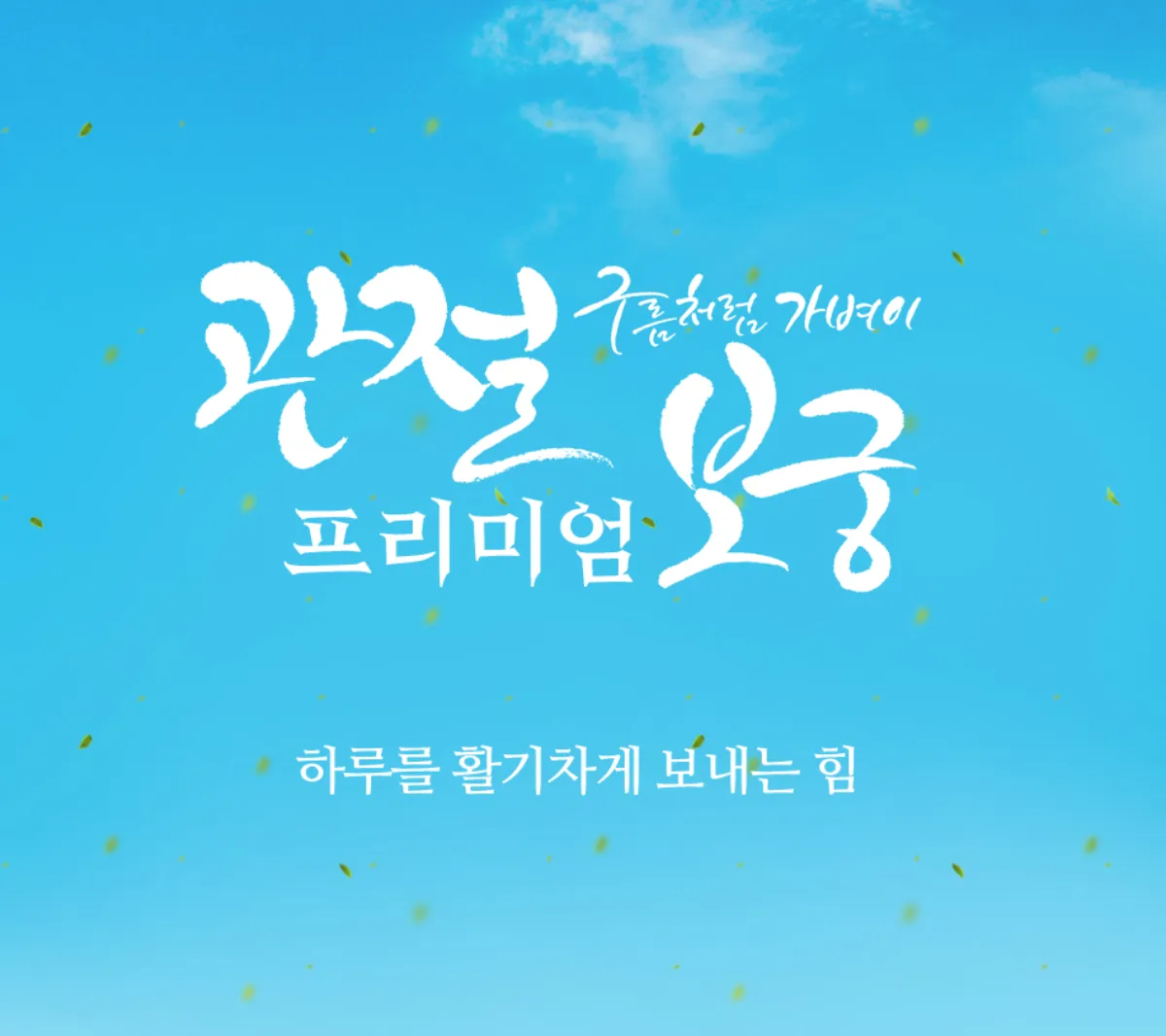 관절보궁 가격 김연자 관절보궁 궁 프리미엄 가격