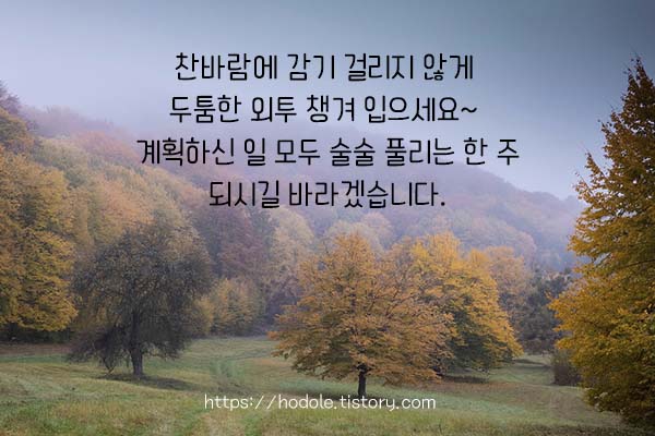 패딩의-계절