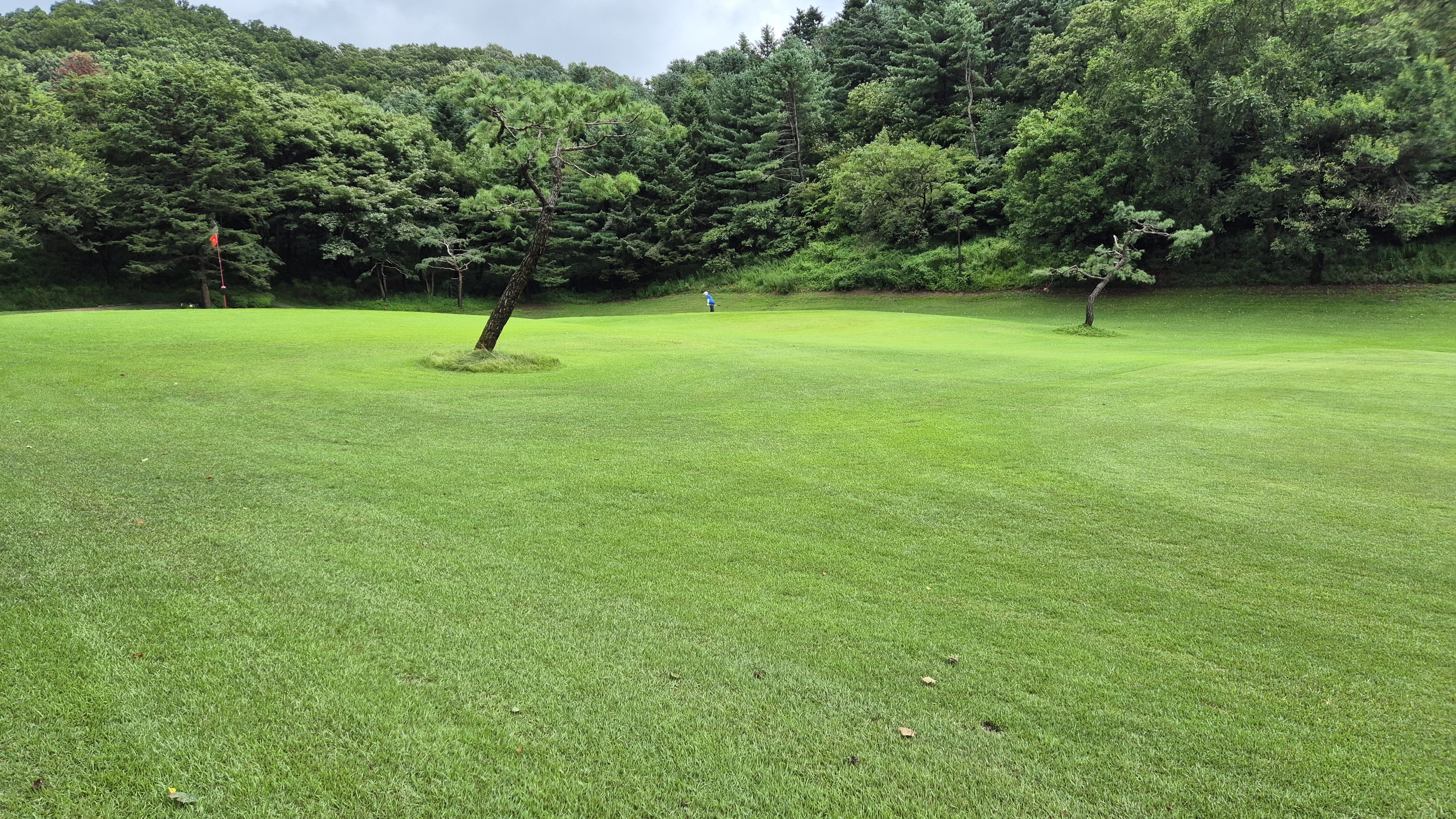 뉴서울cc 예술in-문화in 코스 사진 및 공략 정보