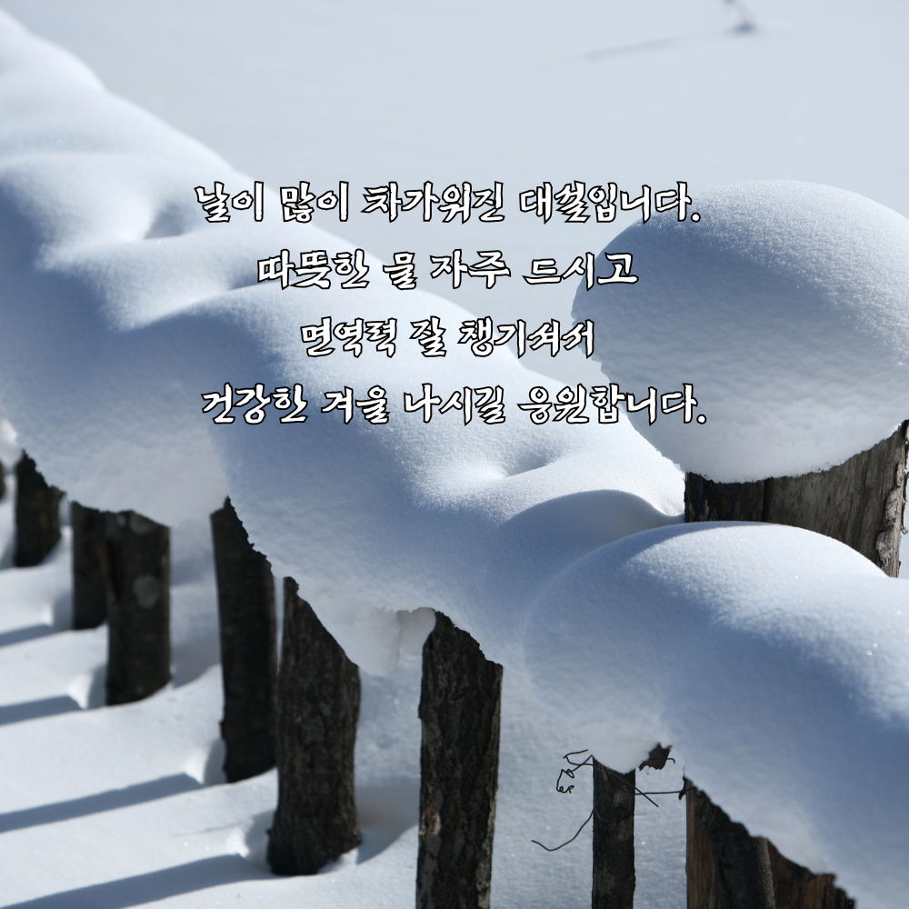 대설 인사말 이미지 12월 인사말 문구 모음