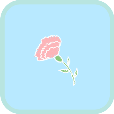 핑크 카네이션