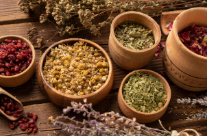 약용식물 도감 - 생활 속에서 쓰이는 전통 약초 이야기