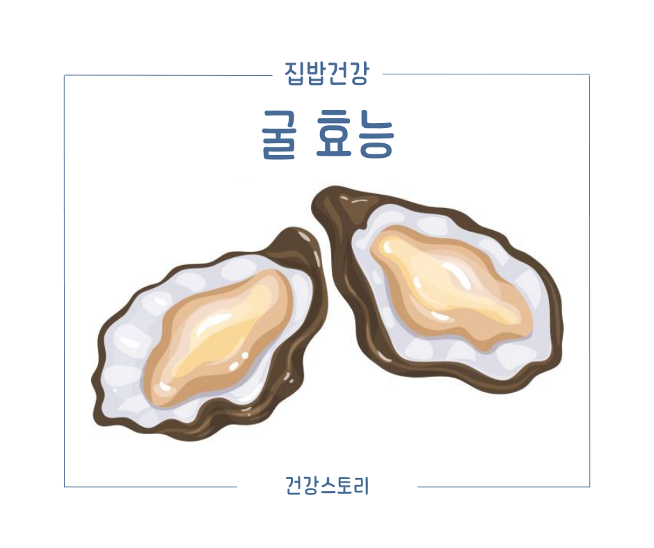 굴 효능 메인