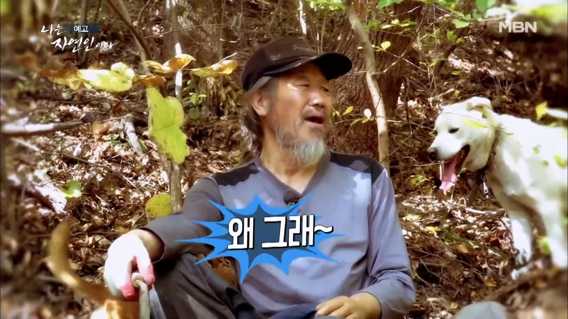 이승윤 윤택 나는 자연인이다 내가 산에 사는 재미 하수오 제피 담금주 골쇄보 자연인 배정수 소개 및 출연 529회 다시보기