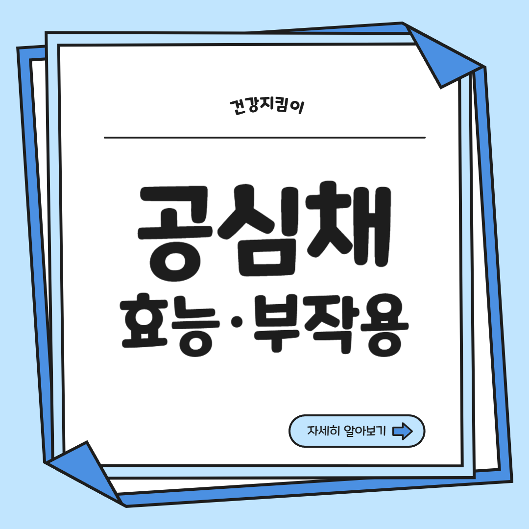 공심채 효능 부작용 고르는법 칼로리 다연채 모닝글로리