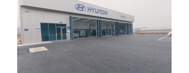 세종시 블루핸즈