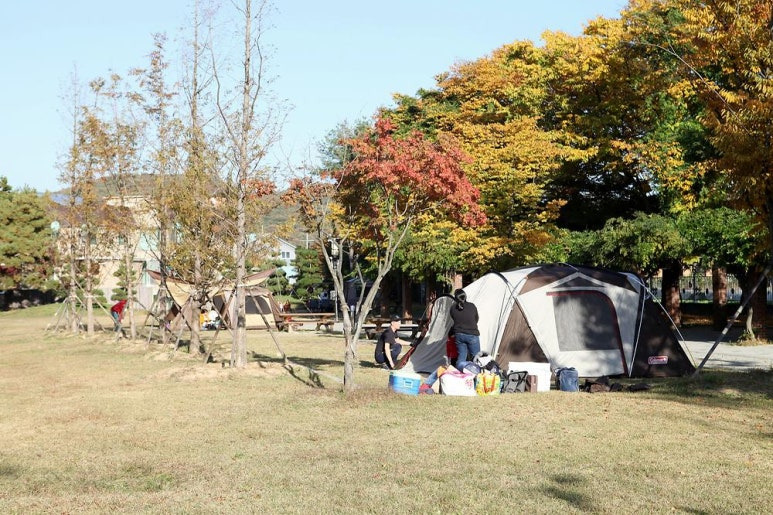 파주 인생캠핑장, 추천캠핑장