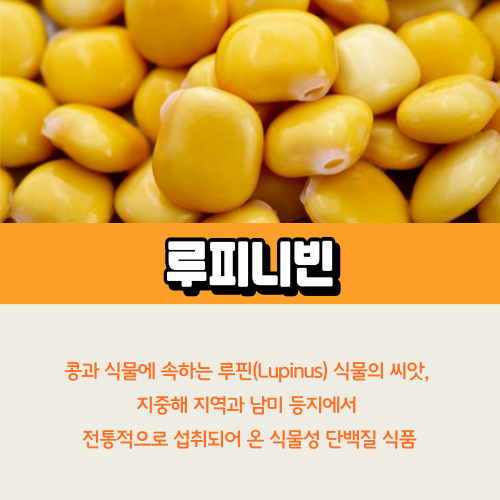 루피니빈
