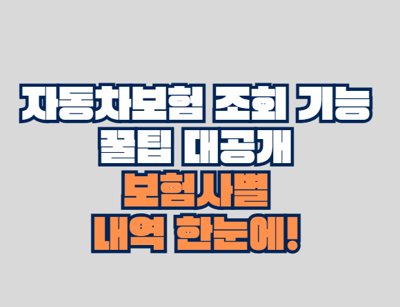 자동차보험 조회