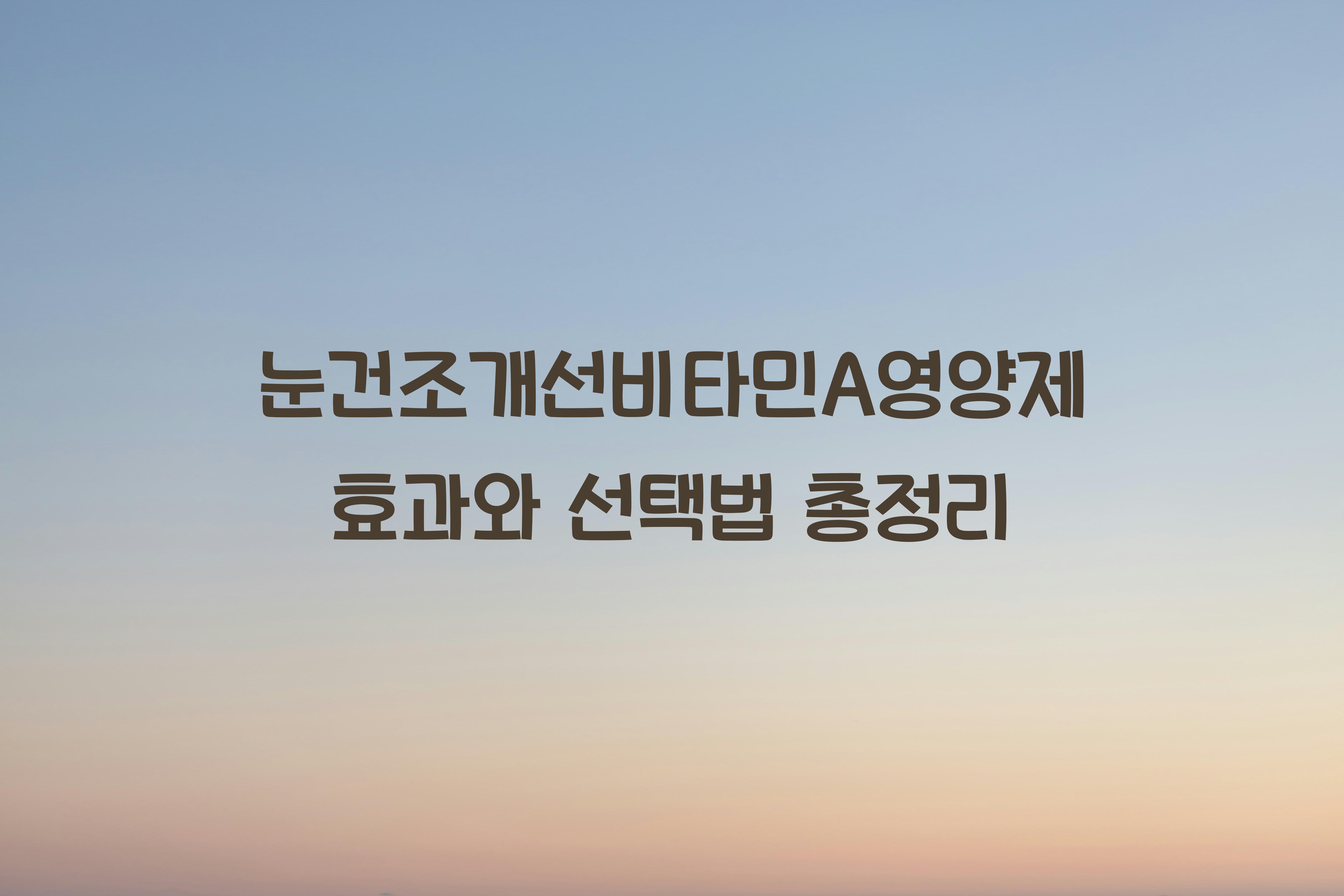 눈건조개선비타민A영양제