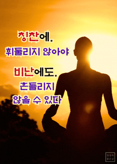 칭찬과 비난에 흔들리지 않는 법, 마음을 다스리는 명언 이미지