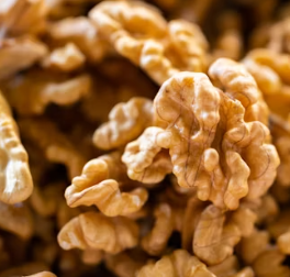 호두 효능과 부작용 하루섭취량 먹는방법 고르는법