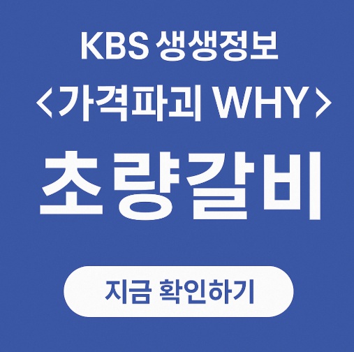 KBS 2TV생생정보